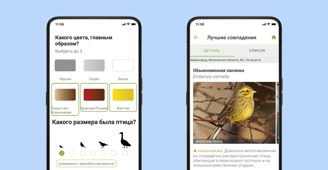Определитель птиц по фотографии Merlin&nbsp;Bird&nbsp;ID
