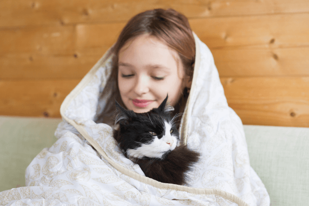 Кот — обогреватель
