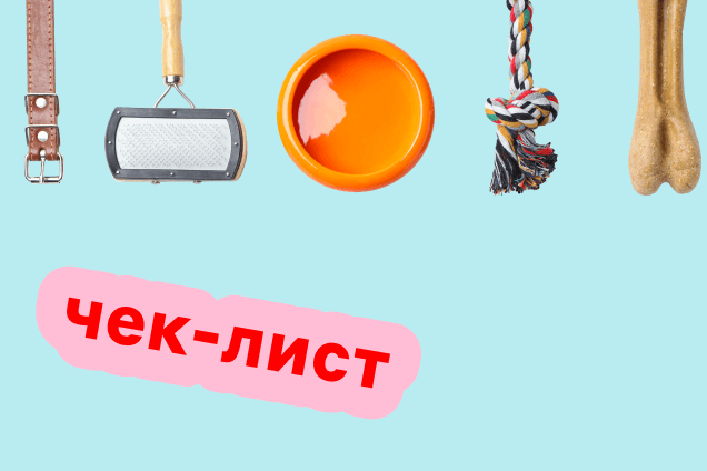 Что нужно взять с собой в&nbsp;аэропорт