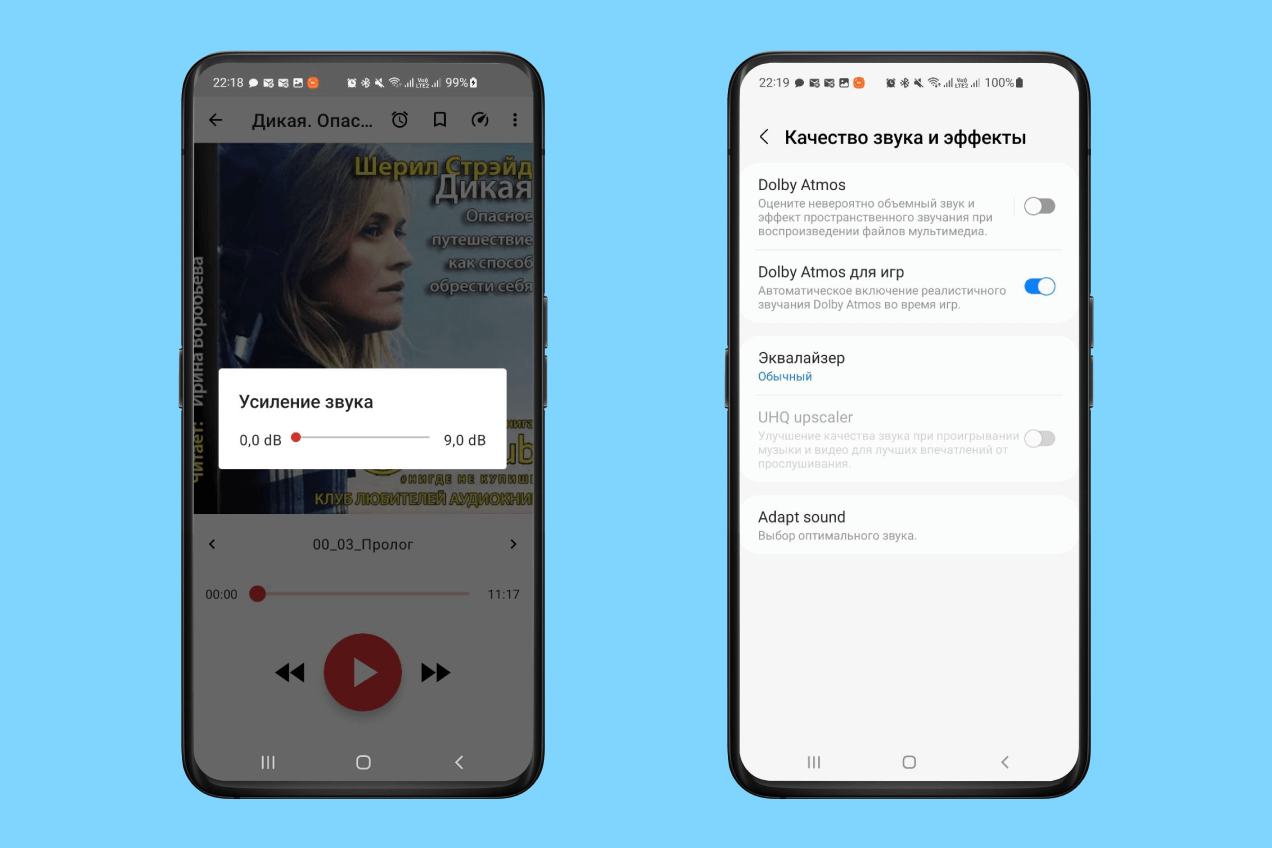 Voice AudioBook Player