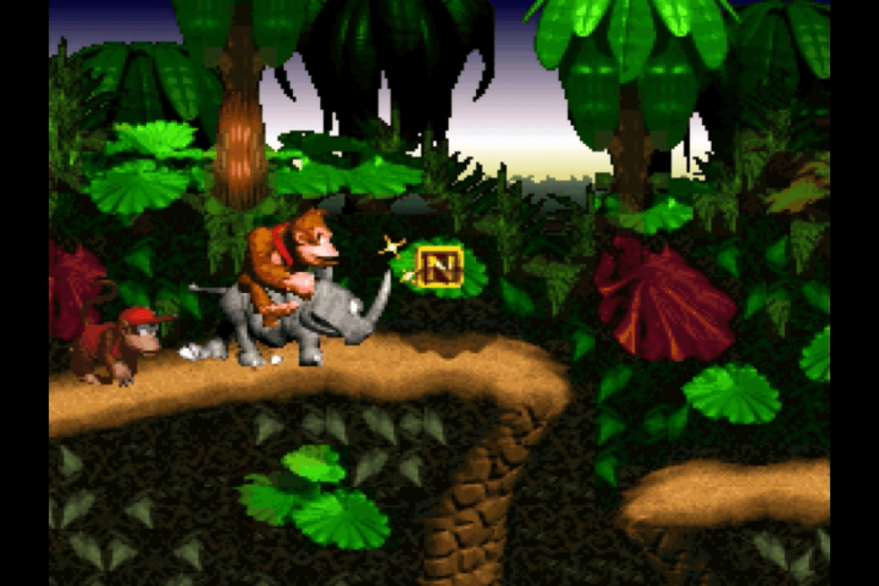 Donkey Kong Country