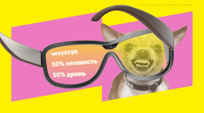 Что такое умные очки и что они умеют: топ-11 вариантов новых аксессуаров